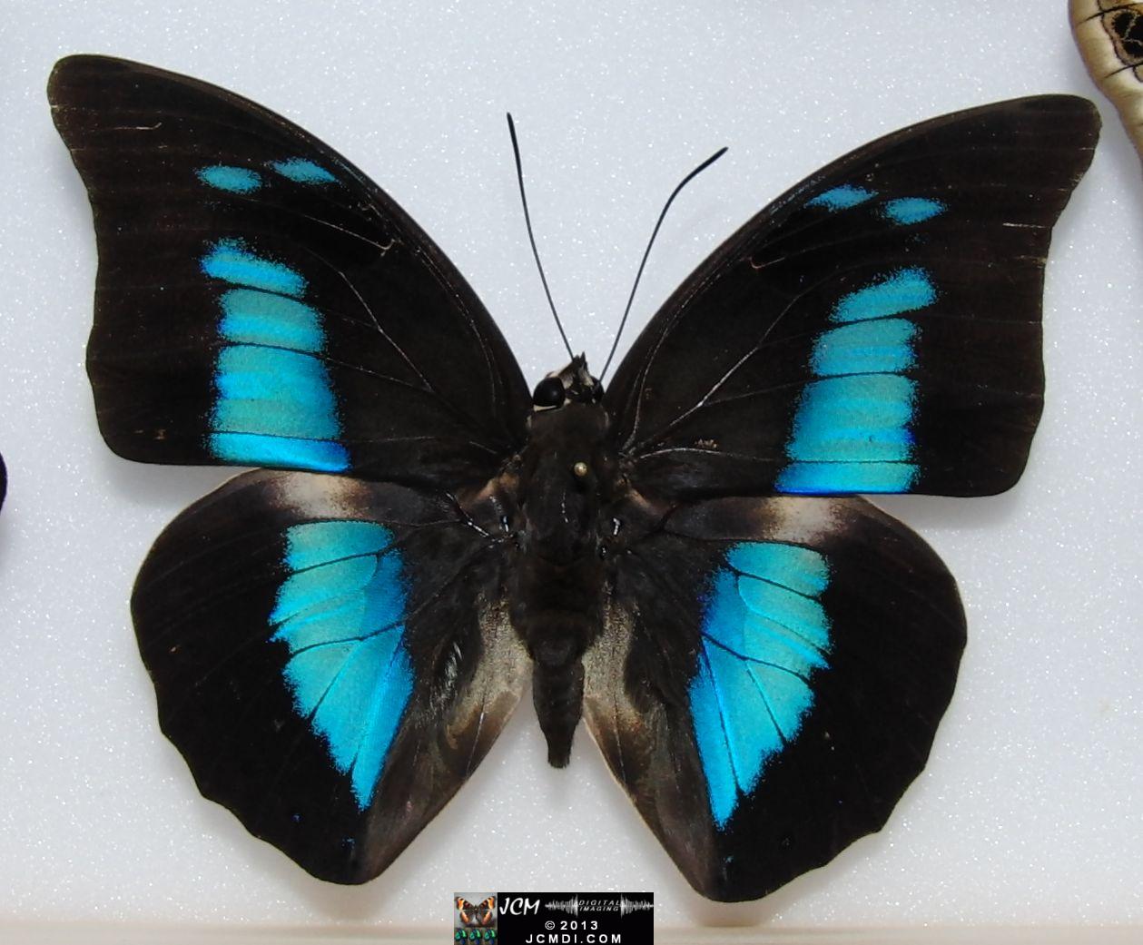 Unidentified 02-20-2010 